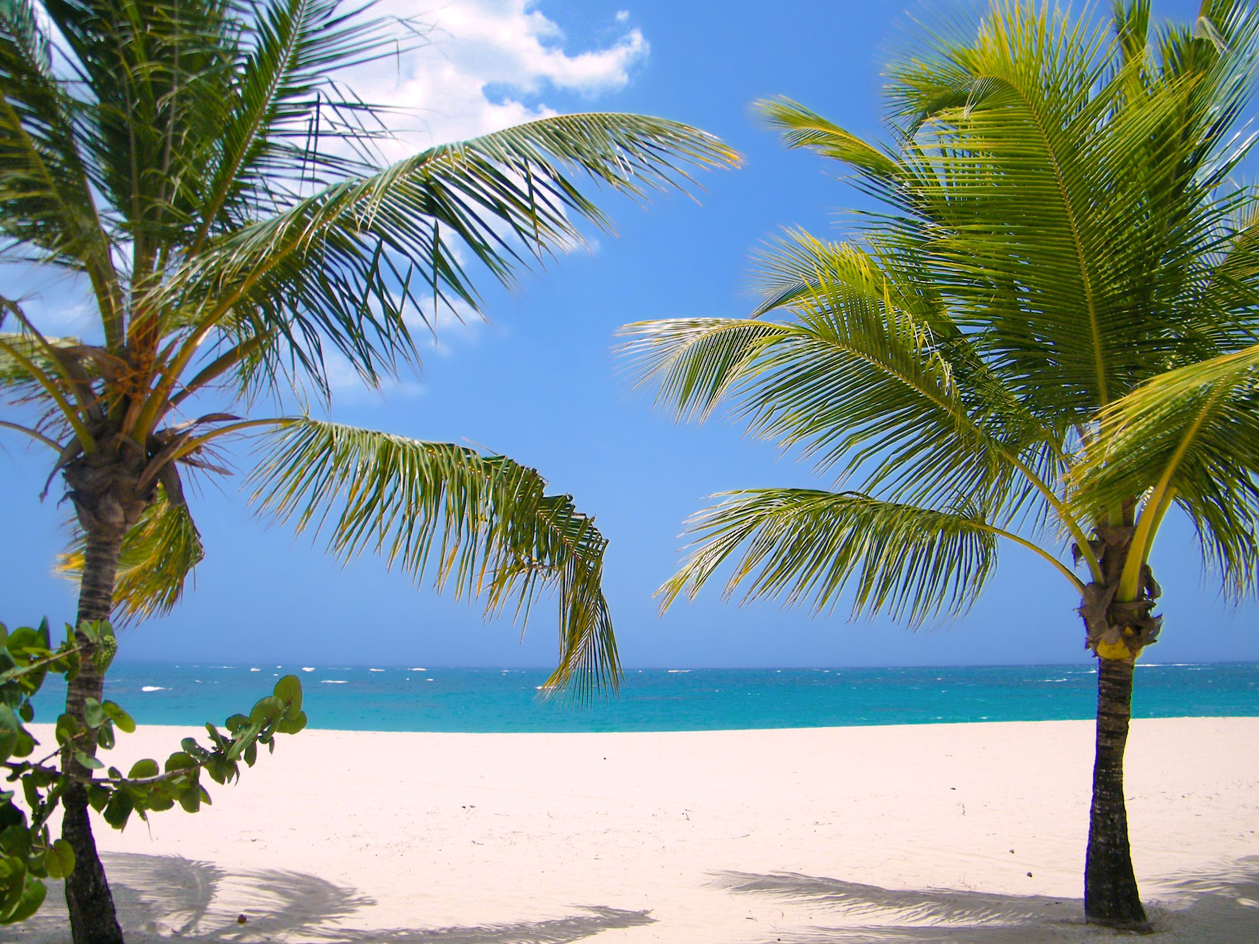 Viva Heavens By Wyndham, A Trademark All Inclusive (Adults Only) Puerto Plata Eksteriør billede