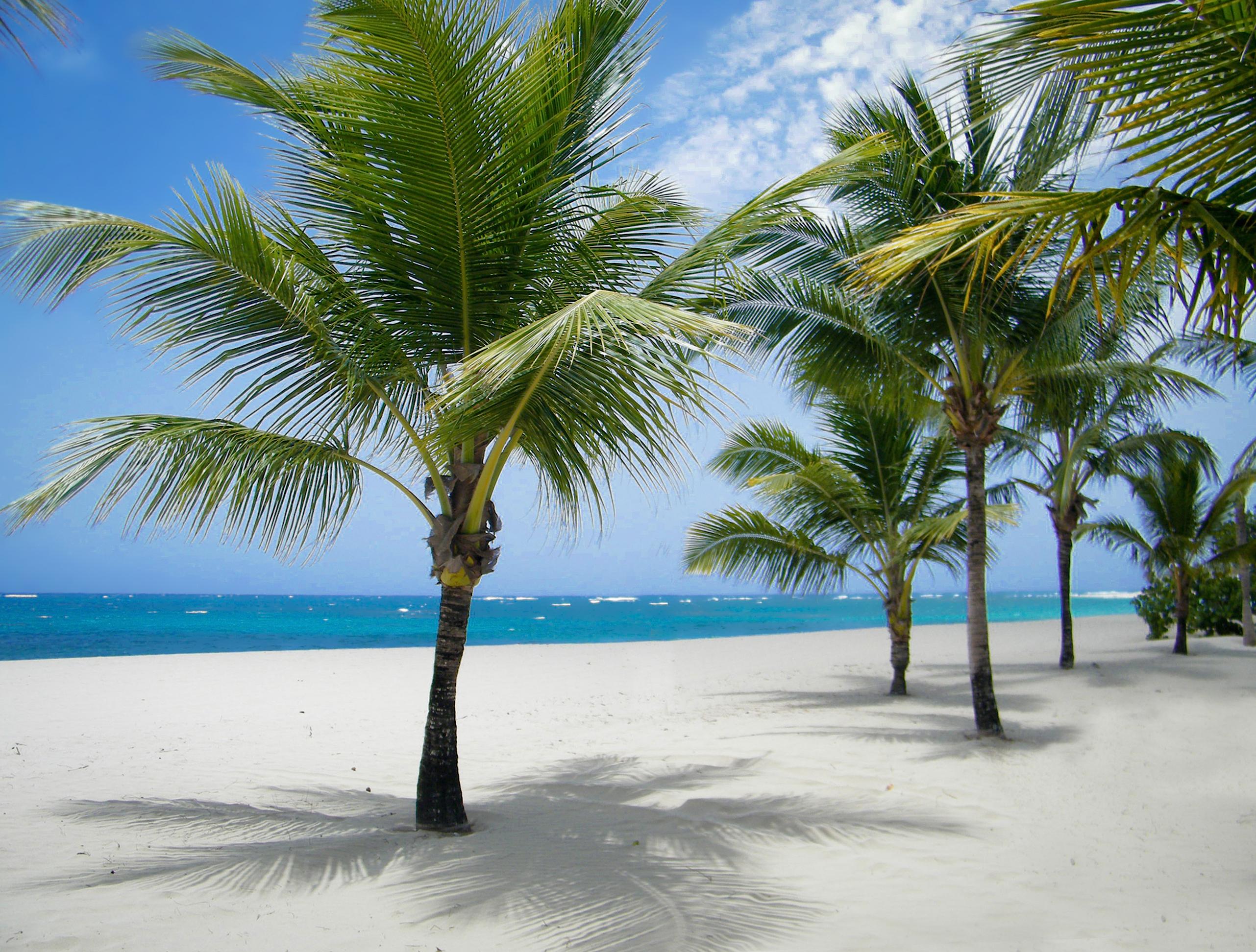 Viva Heavens By Wyndham, A Trademark All Inclusive (Adults Only) Puerto Plata Eksteriør billede