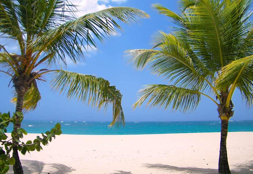 Viva Heavens By Wyndham, A Trademark All Inclusive (Adults Only) Puerto Plata Natur billede